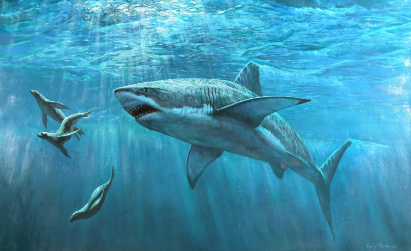 dolphin, Artistic, Painting, group of animals, sharks, animal wildlife, no people, Great, 1080P, swimming, aquatic mammal, nature, mammal, sea, marine