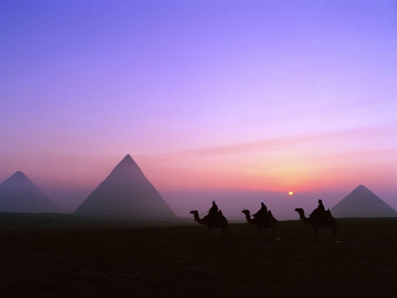 pyramids, egypt, silhouette, hd, nature, 720P, sunset, camels