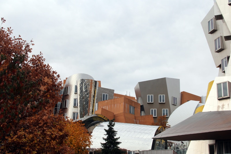 ray and maria stata center, white color, house, day, window, building exterior, massachuttes, low angle view, plant, stata center, kendall, cloud - sky