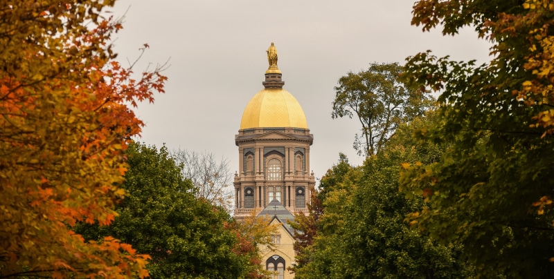 growth, autumn, day, low angle view, tree, building exterior, scenery, place of worship, sky, nature, change, architecture, orange color, no people, university of notre dame