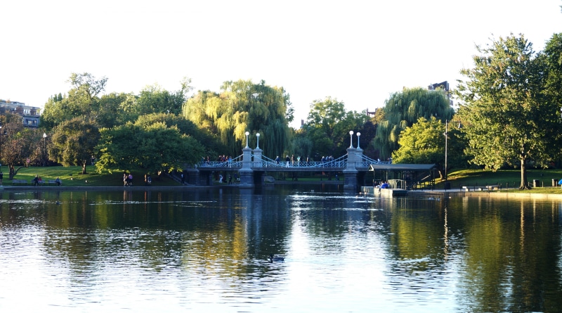 building exterior, reflection, outdoors, Park, plant, waterfront, commons, boston, Lake, United States, river, Bridge, tree, clear sky, water, bridge - man made structure