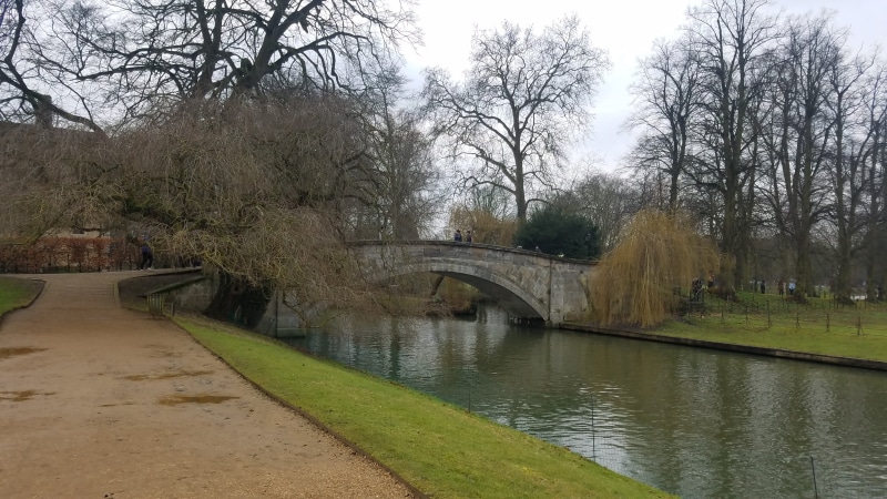 arch, footbridge, path, bridge - man made structure, connection, bridge, nature, sky, river, arch bridge, bare tree, cambridge, built structure, united kingdom