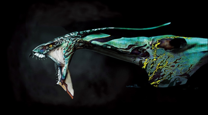 one animal, studio shot, green, human body part, animal body part, vertebrate, Great, Leonopteryx, adult, profile view, people, side view, animal wildlife