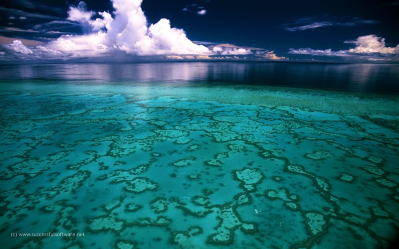 ocean, sea, reef, australia, great Barrier Reef, natural, water, 1080P