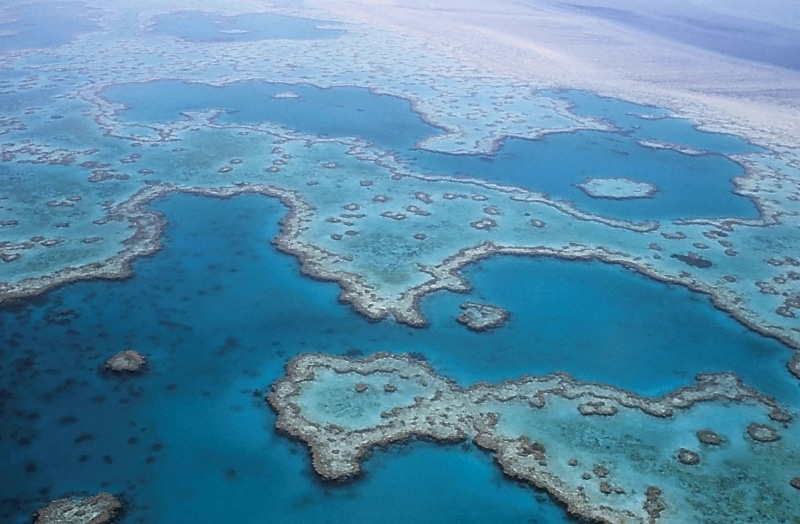 environment, nature, tranquility, scenics - nature, blue, aerial View, day, ocean, water, queensland, australia, coral, no people, hole, wet, island empire