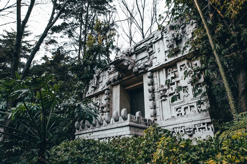 rain forest, aztec, low angle view, sacred, no people, ruins, leaf, heritage, branch, shrine, mayan temple, the past, carvings, 2K, park, temple, tree trunk