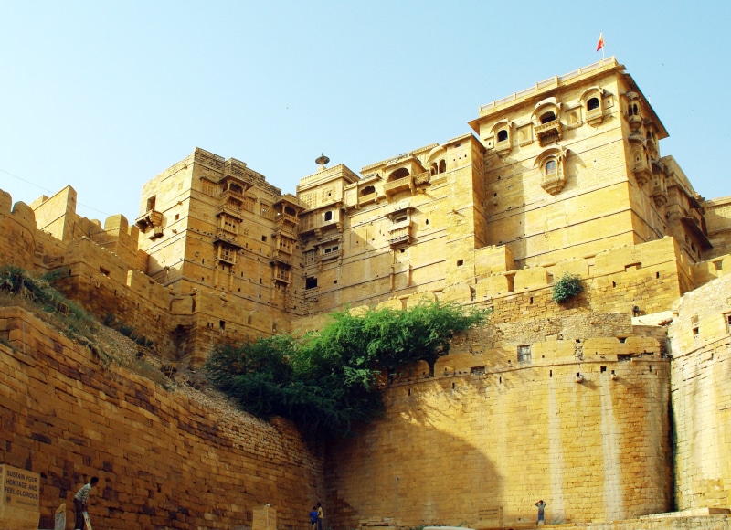 maharaja, history, outdoors, plant, rajasthan, fort, architecture, building, 2K, tree, india, no people, low angle view, sky, nature, jaisalmer, palace