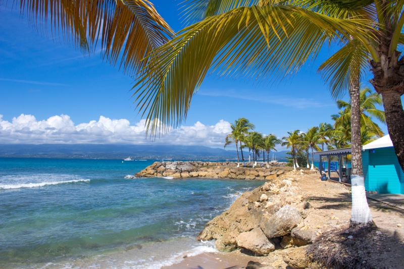 holidays, palm tree, beauty in nature, relax, horizon over water, tropical climate, cloud - sky, scenics - nature, idyllic, outdoors, plant, vacation, chill