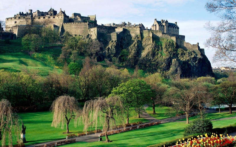 plant, castle, fort, history, nature, tree, day, tourism, green color, travel, building exterior, building, growth, outdoors, built structure, architecture