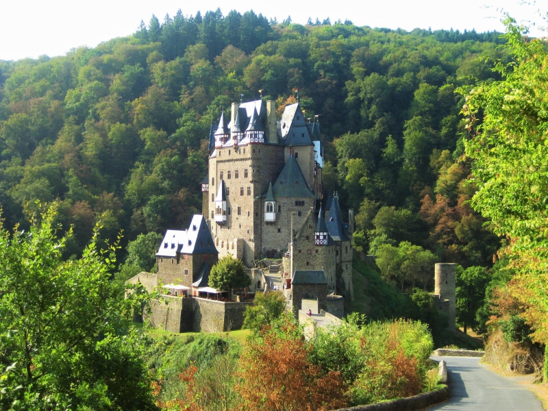 plant, tree, scenics - nature, green color, burg, foliage, nature, architecture, germany, travel, growth, medieval, castle, outdoors, beauty in nature