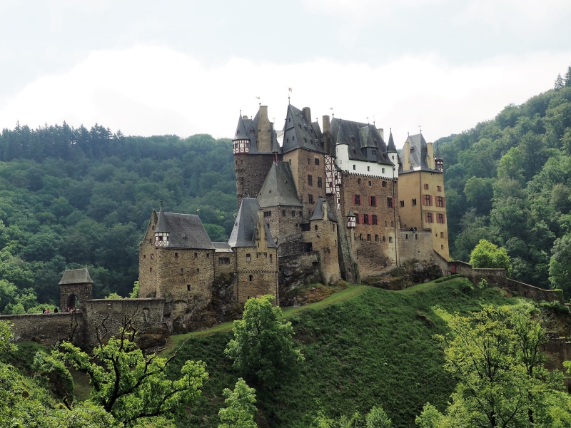 tourism, 4K, growth, tree, architecture, Middle Ages, famous Place, foliage, travel, History, the past, fort, Castle, europe, no people, travel destinations