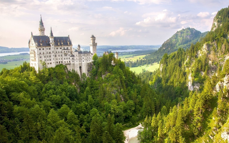 1080P, Trees, Forest, Castle, Germany, Mountain, Neuschwanstein