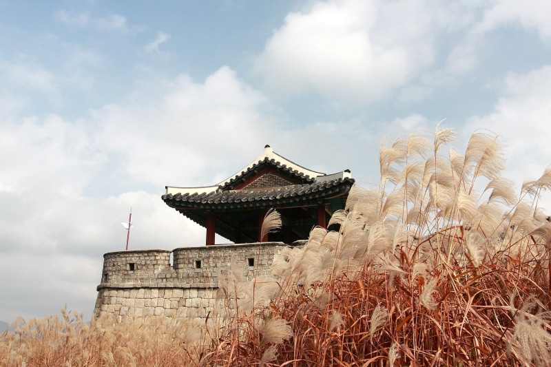 joseon dynasty castle, world cultural heritage, castle, high, 1080P, plant, place of worship, built structure, belief, no people, architecture, mars, sky