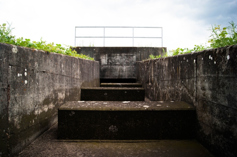 steps and staircases, staircase, plant, tunnel, tree, sky, stone material, building, dark, outdoors, concrete, nature, water, photography, day, architecture