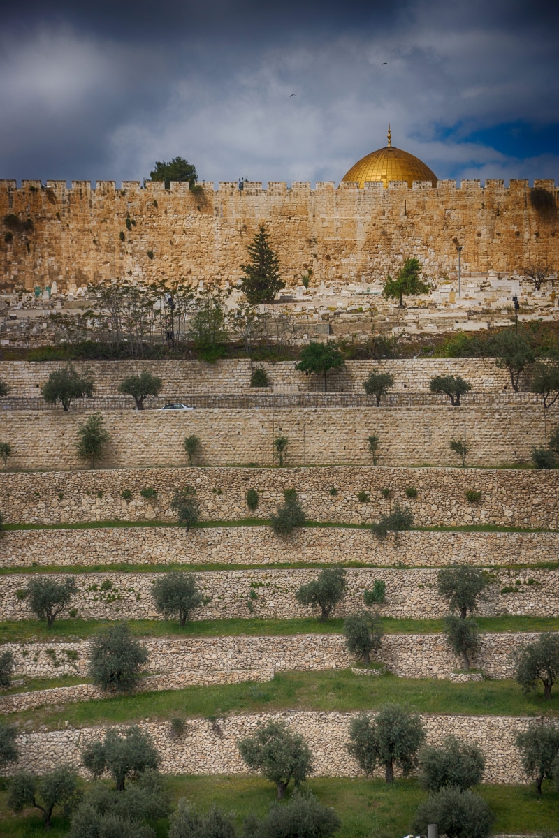 tourism, olive trees, stone wall, built structure, dome of the rock, travel destinations, religion, old city, no people, building exterior, outdoors, architecture