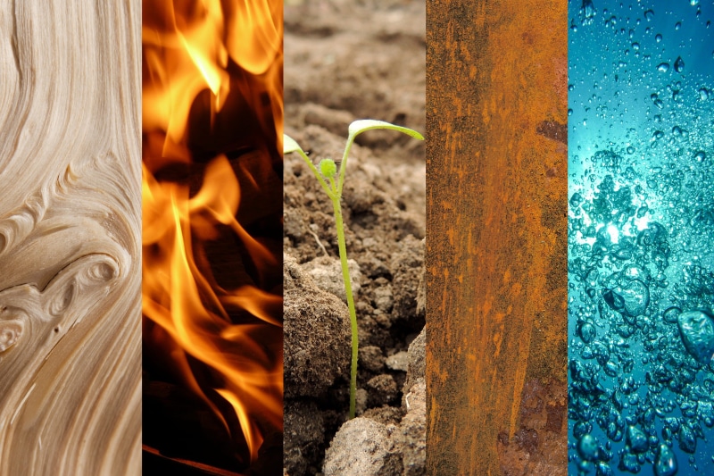 close-up, fruit formation, heat - temperature, long exposure, nature, chinese philosophy, no people, day, glowing, 4K, wood, fire - natural phenomenon