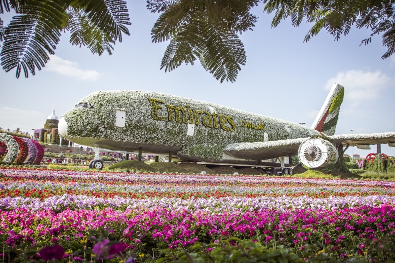flowering plant, 5K, flora, the past, flower miracle park, flower garden, sky, day, travel destinations, no people, growth, travel, history, miracle garden dubai