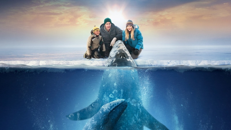 miracle, illustration, child, woman, big, dolphin, man, 1080P