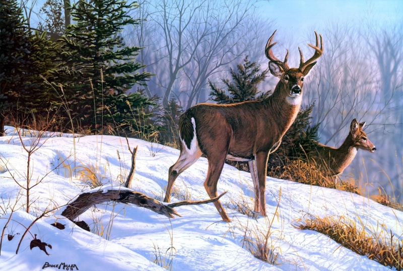 holidays, painting, miracle, deers, reindeer in winter, snowflakes, two, winter, 1080P, festival, cold, nice, deer, reindeer, party time, new year