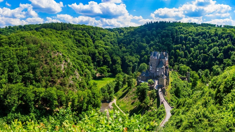 Castle, Eltz Castle, Germany, 1080P, Forest, Castles, Tree