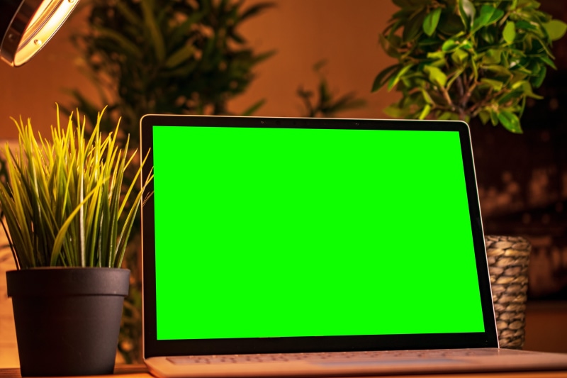 sign, plant, computer, close-up, macbook, communication, green color, flower pot, no people, nature, instagram icon, copy space, screen, wireless technology