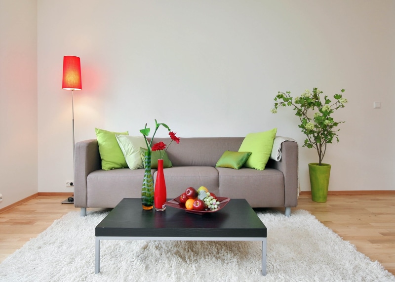 stuffed, fruit, flowers, carpet, lounge, red, seat, coffee table, indoors, modern, sofa, absence, flooring, decor, home interior, furniture, wall - Building Feature