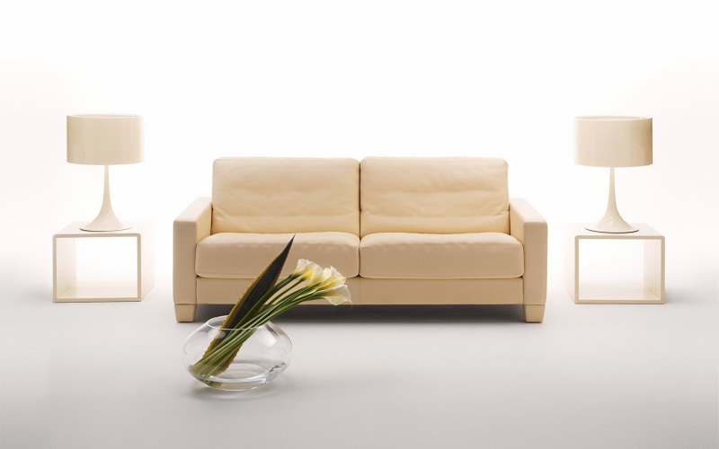 luxury, cut out, vase, fabric, nature, sofa, copy space, indoors, petaled, electric lamp, tables, plant, home interior, container, white color, seat, flower