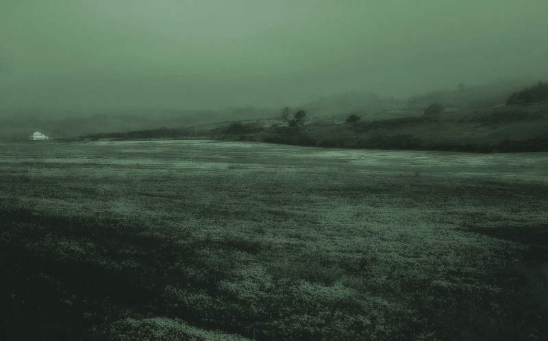 wooden, remote, field, environment, land, scenics - nature, bed, green, landscape, plant, fog, mattress, beauty in nature, water, no people, frame, 1080P
