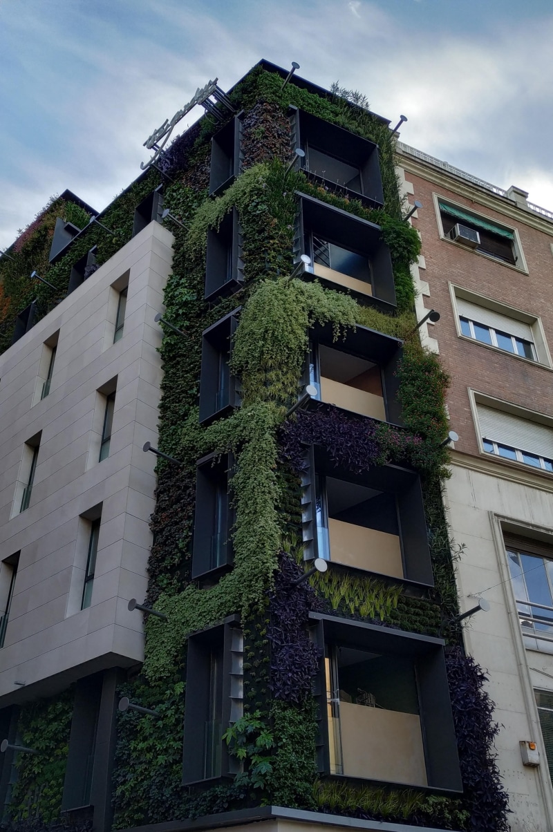 nature, green color, ivy, city, street, built structure, outdoors, architecture, residential district, apartment, plant, building exterior, creeper plant