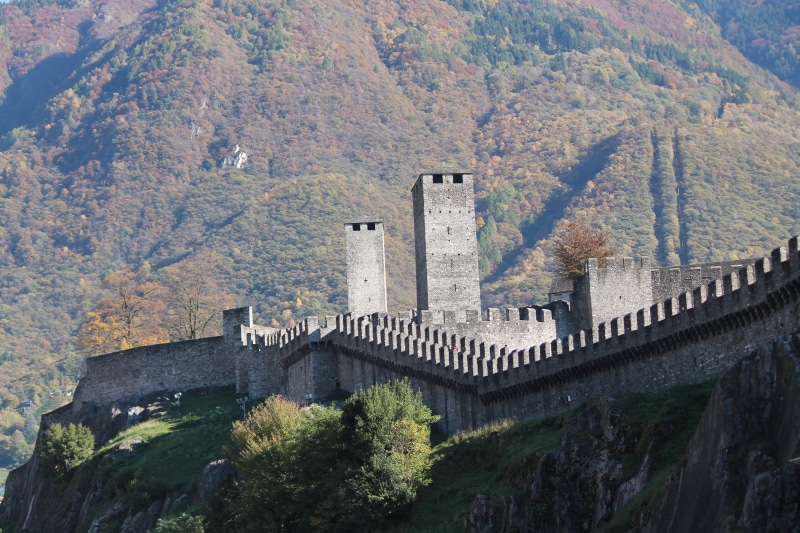 nature, the past, travel, castelgrande, bellinzona, built structure, architecture, plant, castle, building exterior, tree, mountain, switzerland, fort