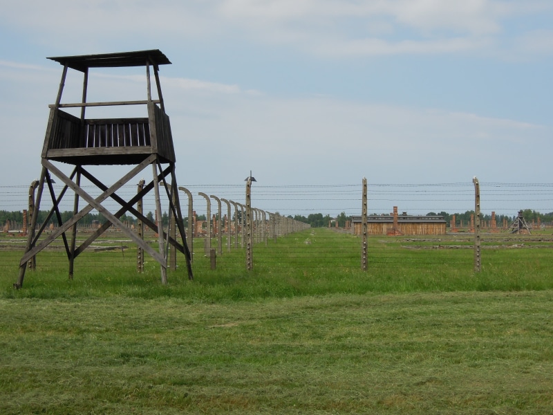 architecture, security, concentration camp, environment, tower, old, grass, outdoors, land, barbed wire, jewish, nature, scenics - nature, sky, old building