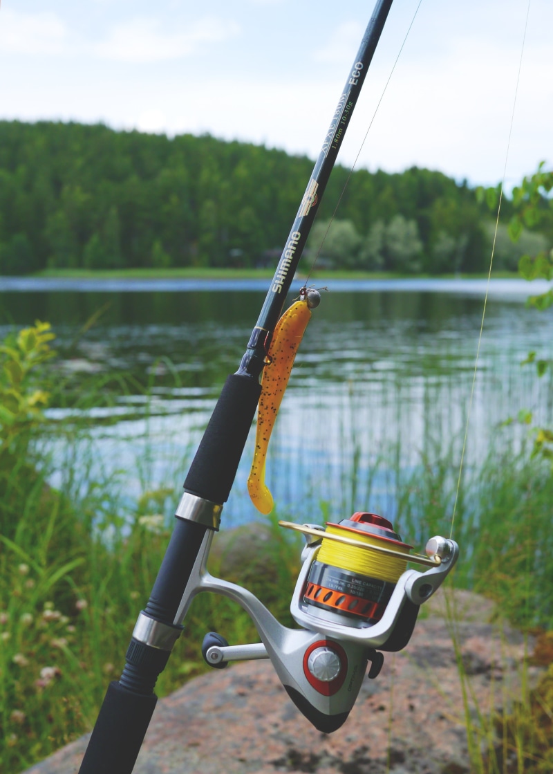 summer, fishing Reel, grass, leisure Activity, fish, sport, sky, water, plant, lake, mode of transportation, crank, recreational Pursuit, telescopic rod