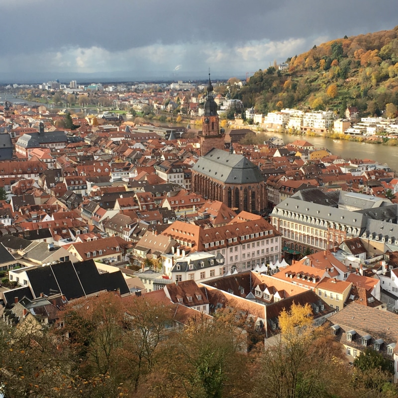 outdoors, historic, landmark, aerial View, architecture, Heidelberg, church, building, travel, wall, old, europe, history, tree, famous Place, overlooking