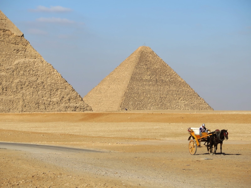 cairo, tourism, desert, domestic animals, cities, domestic, weltwunder, mausoleum, dry, animal, archaeology, vertebrate, the past, coach, ancient civilization