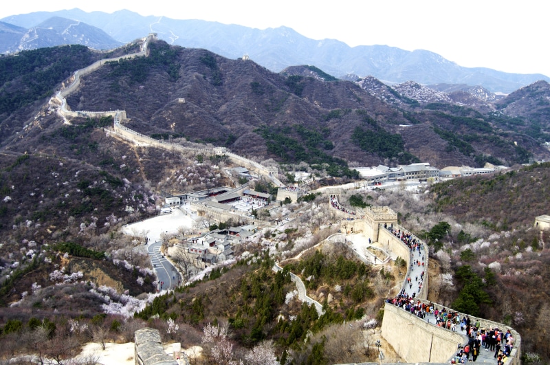 travel, china, beauty in nature, tranquility, tourism, high angle view, built structure, great wall, environment, tree, beijing, tranquil scene, 5K, scenics - nature