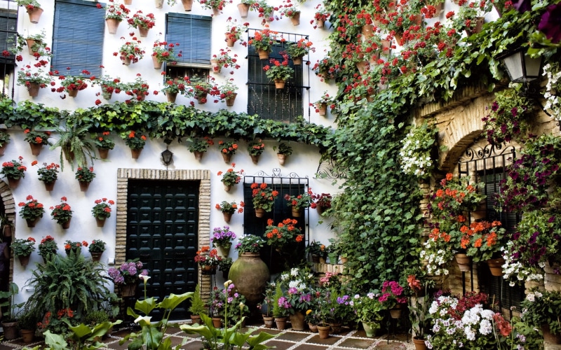 andalusia, patio, house, spain, 1080P, cordoba, building, bokeh