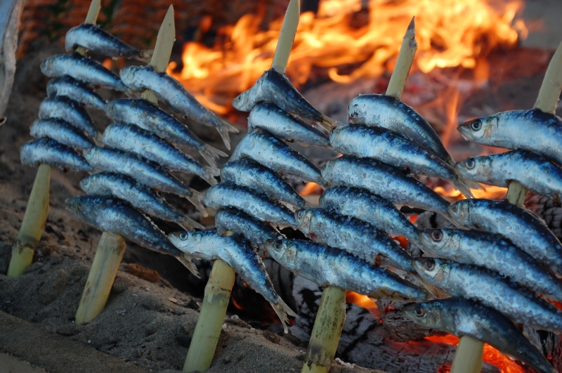 nature, barbecue grill, bonfire, freshness, flame, campfire, espeto, burning, skewers, marbella, glowing, food fire, preparing food, malaga, barbecue, 2K