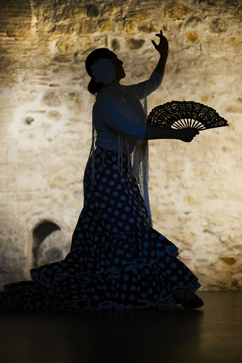 one Person, long, andalucia, real people, dance, rear view, flamenco, andalusia, wall - building feature, young adult, animal wildlife, day, leisure activity