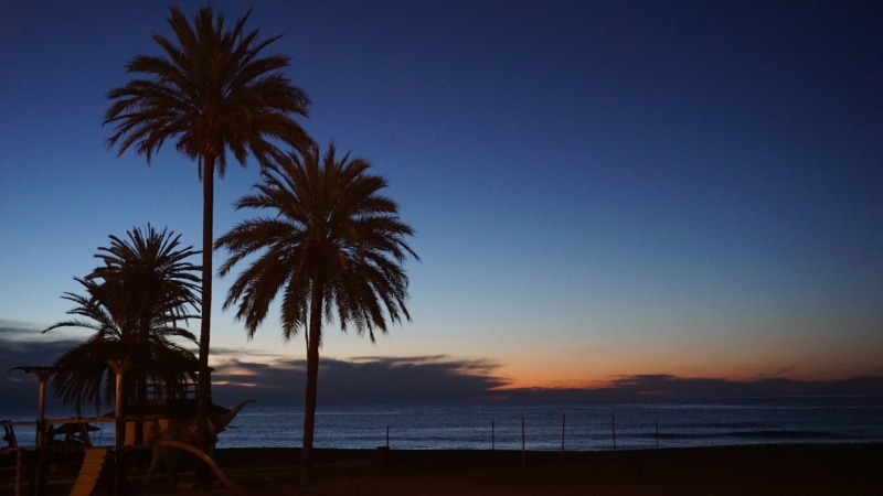 marbella, palm leaf, 1080P, outdoors, water, spain, tranquil scene, coconut palm tree, malaga, dusk, sunset, tree, nature, tranquility, seaside, scenics - nature