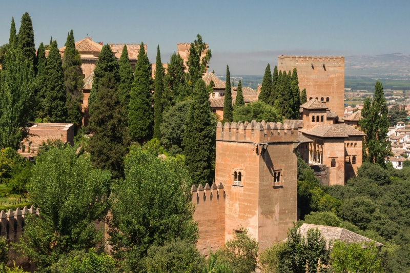 plant, tourism, andalusia, palace, no people, fortress, tree, outdoors, brown, the past, history, castle, alhambra, old, architecture, travel destinations