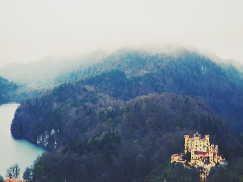 ancient, fog, castle, europe, forest, fortress, high angle view, land, bavaria, outdoors, history, building exterior, scenics - nature, fussen, attraction