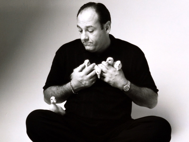 sopranos, drama, crime, 720P, hbo, television, mafia