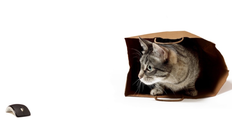 cat, humor, White Background, 1080P, Bag, Pet, Computer Mice, animals