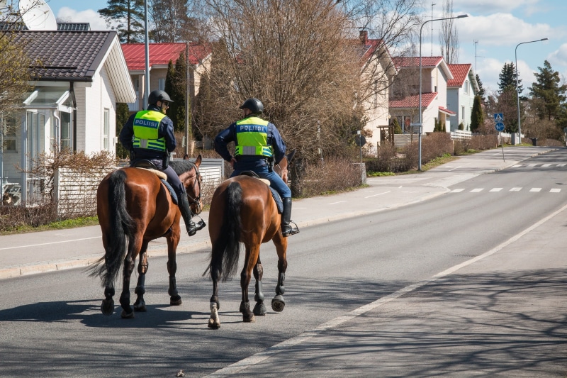 patrol, horse, ride, riding, 2K, security, outdoors, built structure, horseback riding, city, real people, mammal, officer, pets, vertebrate, mounted police