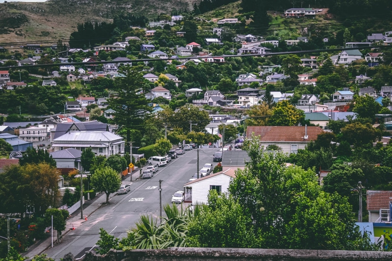 growth, outdoors, plant, homes, urban, building, residential area, city, photography, road, birds, view, residential district, daylight, nature, building exterior