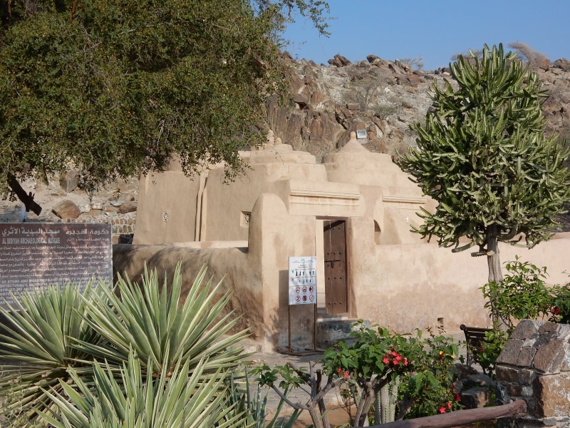 fujeira, potted plant, history, day, growth, no people, travel destinations, u a e, nature, travel, architecture, mosque, the past, building, outdoors