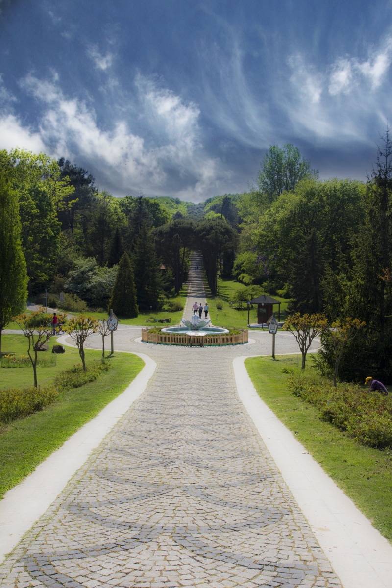 blue, vsco, footpath, growth, maidens tower kiz kulesi, road, no people, nature, morning, leadership, grass, long, istanbul, landscape, nature turkey, architecture