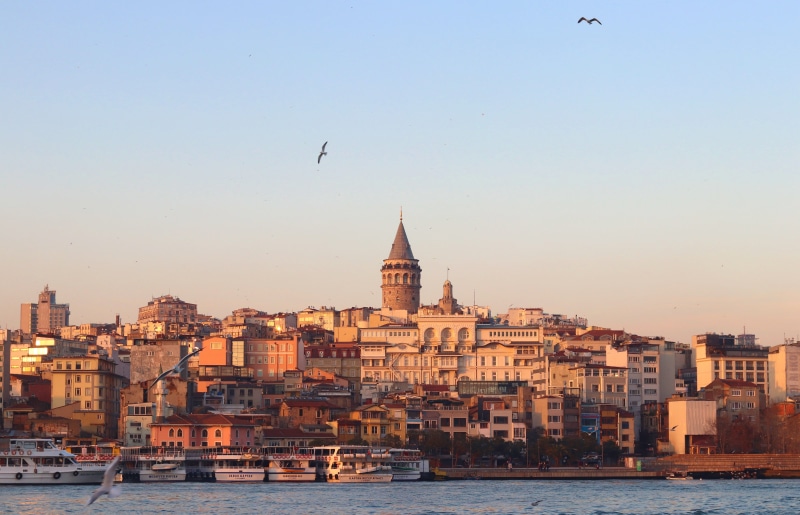 beach, fish, group of animals, building exterior, jewish, 5K, flying, no people, cityscape, date, galata, sunset, estuary, in the evening, animals in the wild