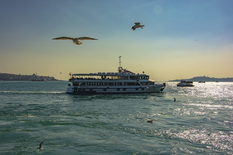 istanbul, turkey, seagull, nautical vessel, estuary, mode of transportation, animal themes, flying, animals in the wild, travel, port, ship, 5K, nature