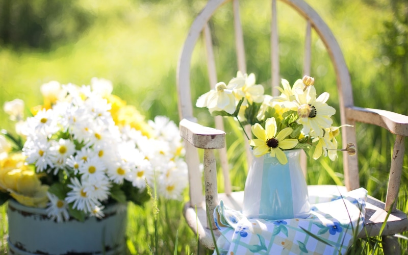 summer, chairs, garden, flowers, white, 2K, still, wooden, petaled, life, wooden chairs, yellow, daisies